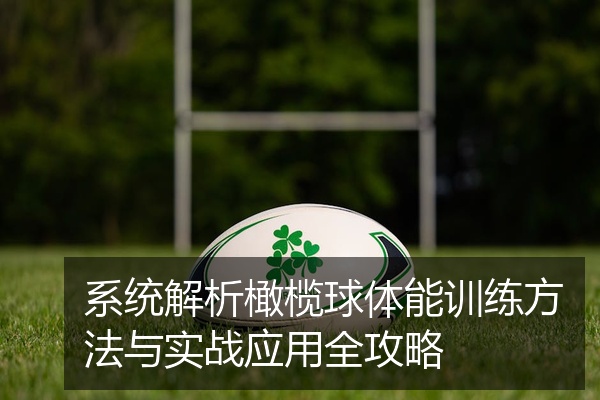 系统解析橄榄球体能训练方法与实战应用全攻略