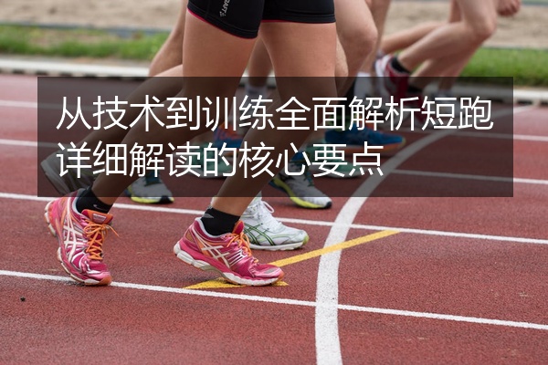 从技术到训练全面解析短跑详细解读的核心要点